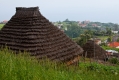 541_Madera_Sao Jorge